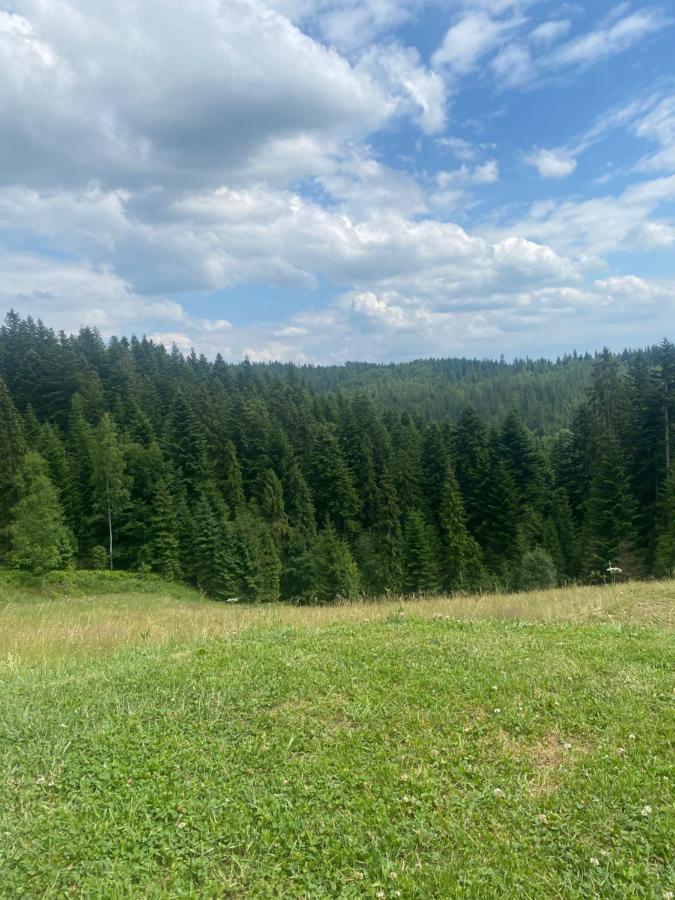 Apartament W Gorach Gorce Nowy Targ Exteriör bild