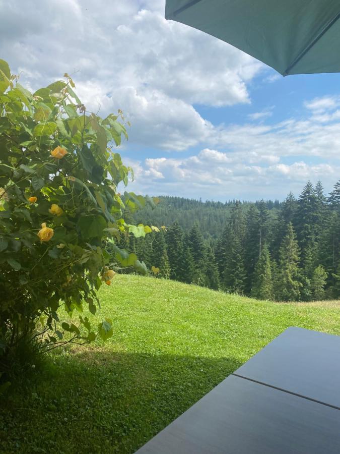 Apartament W Gorach Gorce Nowy Targ Exteriör bild