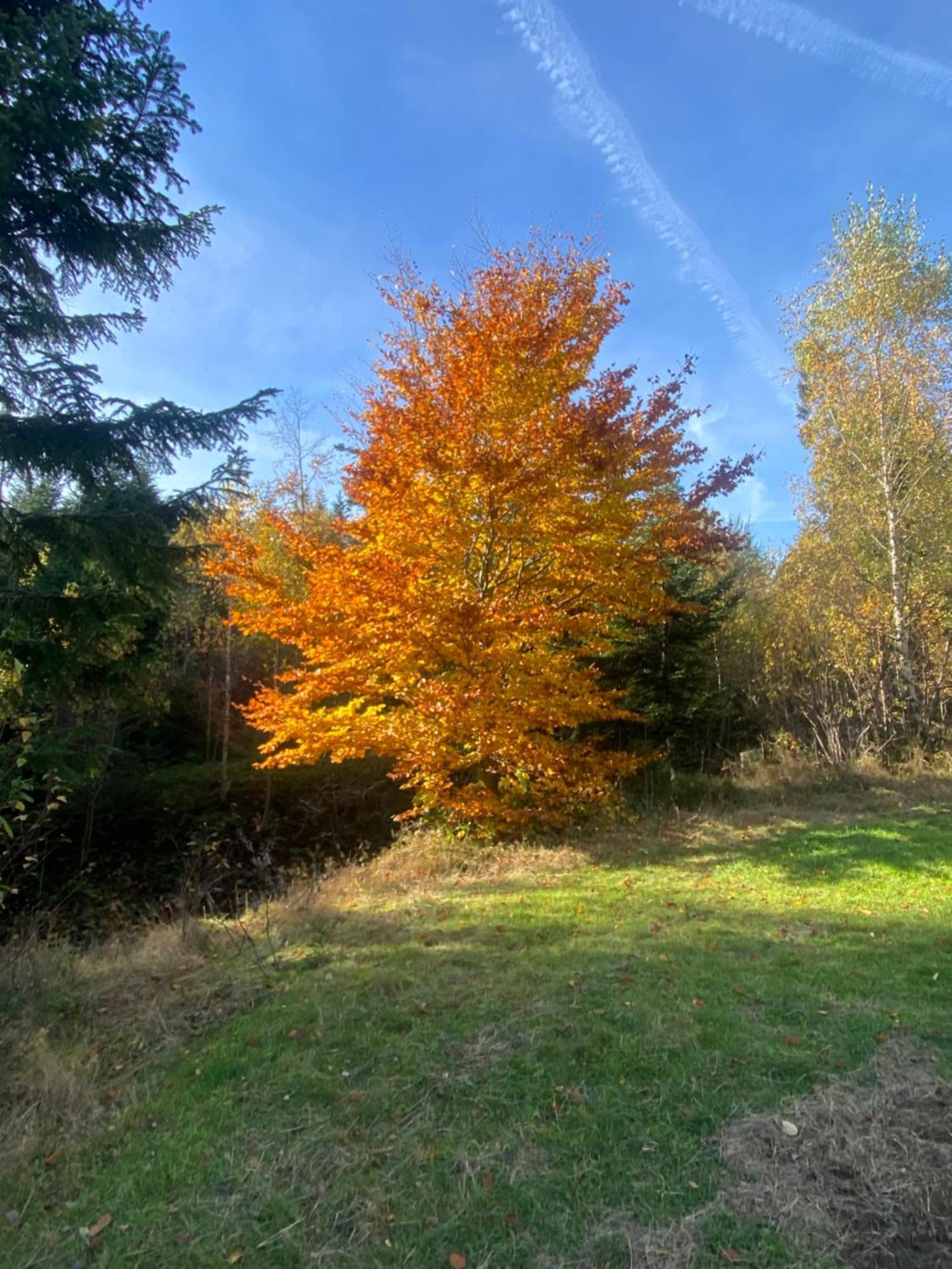 Apartament W Gorach Gorce Nowy Targ Exteriör bild
